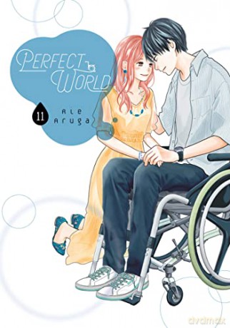 Perfect World 11 - Rie Aruga [KSIĄŻKA]