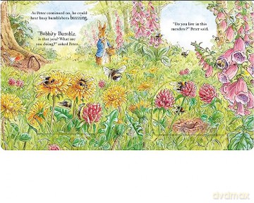 Peter Rabbit Forest Homes - Beatrix Potter [KSIĄŻKA]