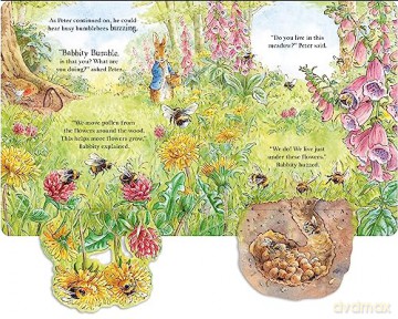 Peter Rabbit Forest Homes - Beatrix Potter [KSIĄŻKA]