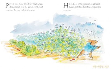 Peter Rabbit Stories - Beatrix Potter [KSIĄŻKA]
