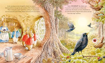 Peters Nature Walk Sound Book - Beatrix Potter [KSIĄŻKA]