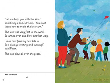 Peters New Kite Level 9b - Ladybird [KSIĄŻKA]