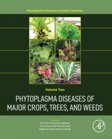 Phytoplasma Diseases Of Major Crops Tree - A. K. Tiwari [KSIĄŻKA]