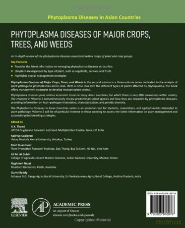 Phytoplasma Diseases Of Major Crops Tree - A. K. Tiwari [KSIĄŻKA]