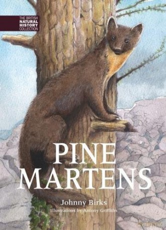 Pine Martens - Johnny Birks [KSIĄŻKA]