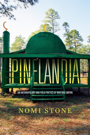 Pinelandia - Nomi Stone [KSIĄŻKA]