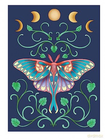 Pixie Dust Dreams Coloring Book - Paule Ledesma [KSIĄŻKA]