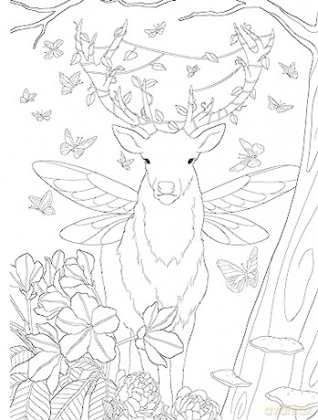 Pixie Dust Dreams Coloring Book - Paule Ledesma [KSIĄŻKA]