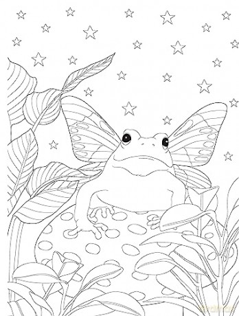 Pixie Dust Dreams Coloring Book - Paule Ledesma [KSIĄŻKA]