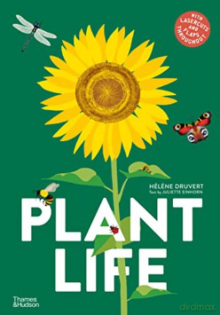 Plant Life - Helene Druvert [KSIĄŻKA]