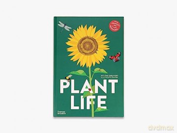 Plant Life - Helene Druvert [KSIĄŻKA]