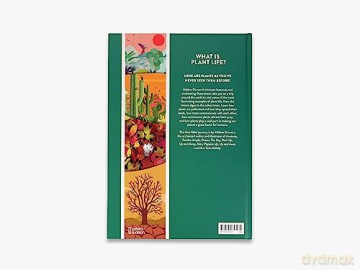Plant Life - Helene Druvert [KSIĄŻKA]