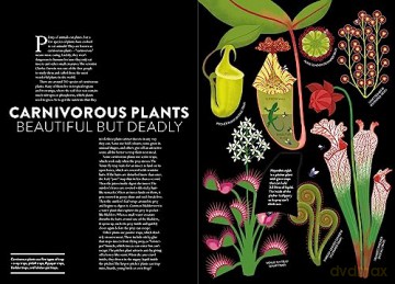 Plant Life - Helene Druvert [KSIĄŻKA]