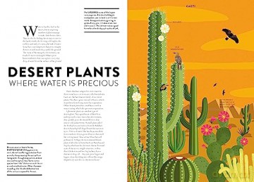 Plant Life - Helene Druvert [KSIĄŻKA]