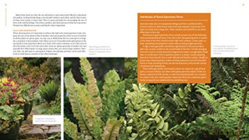 Plant Lovers Guide To Ferns - Richie Steffen [KSIĄŻKA]