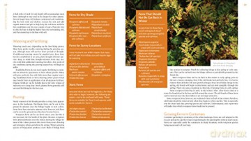 Plant Lovers Guide To Ferns - Richie Steffen [KSIĄŻKA]