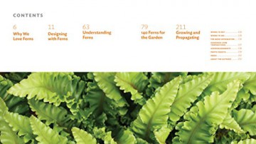 Plant Lovers Guide To Ferns - Richie Steffen [KSIĄŻKA]