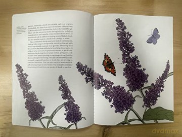 Planting With Nature - Kirsty Wilson [KSIĄŻKA]