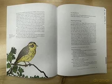 Planting With Nature - Kirsty Wilson [KSIĄŻKA]