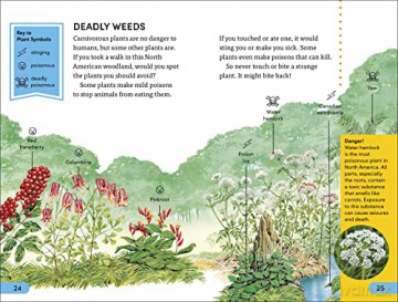 Plants Bite Back Level 4 [KSIĄŻKA]