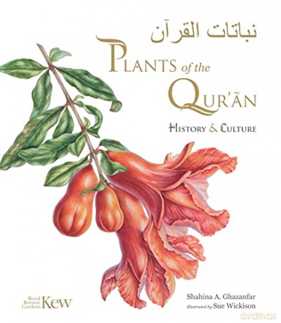 Plants Of The Quran - Shahina A Ghazanfar [KSIĄŻKA]