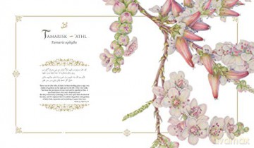 Plants Of The Quran - Shahina A Ghazanfar [KSIĄŻKA]