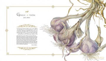 Plants Of The Quran - Shahina A Ghazanfar [KSIĄŻKA]