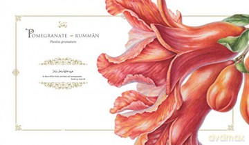 Plants Of The Quran - Shahina A Ghazanfar [KSIĄŻKA]