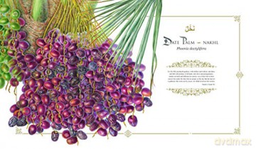 Plants Of The Quran - Shahina A Ghazanfar [KSIĄŻKA]