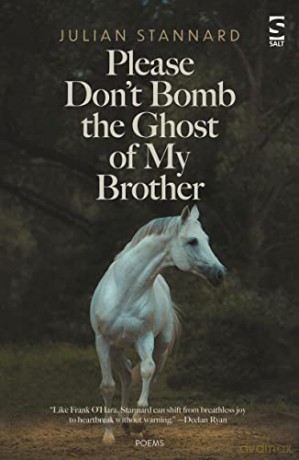 Please Dont Bomb The Ghost Of My Brother - Julian Stannard [KSIĄŻKA]