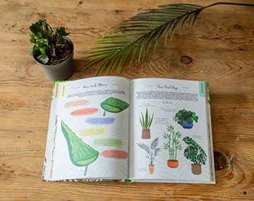 Please Dont Die Houseplants - Boxer Gifts [KSIĄŻKA]