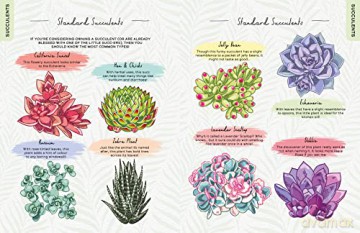 Please Dont Die Houseplants - Boxer Gifts [KSIĄŻKA]