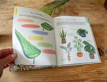 Please Dont Die Houseplants - Boxer Gifts [KSIĄŻKA]