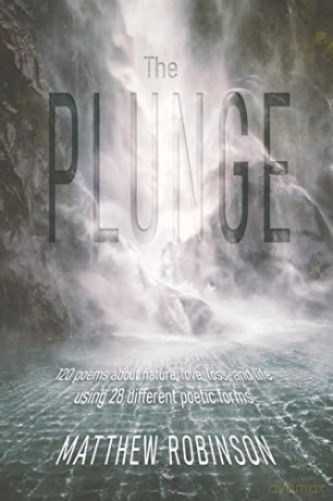 Plunge - Matthew Robinson [KSIĄŻKA]