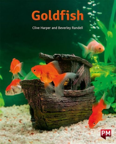 Pm Orange Goldfish N/Fic Lev16 [KSIĄŻKA]