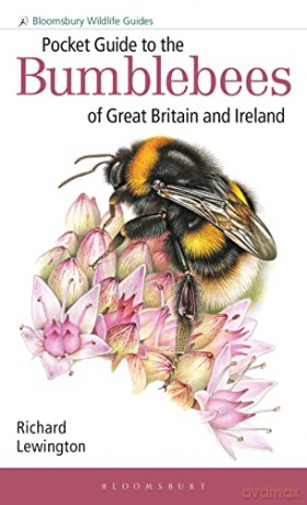 Pocket Guide To The Bumblebees Of Gb/Ire - Richard Lewington [KSIĄŻKA]