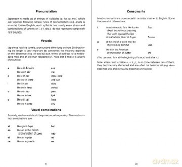 Pocket Japanese Dictionary - Yuki Shimada [KSIĄŻKA]