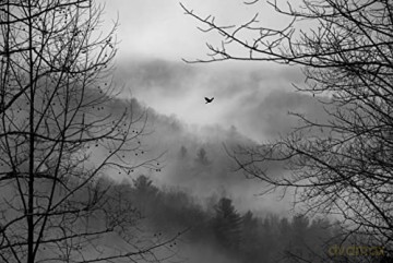 Poetry Of Being [KSIĄŻKA]