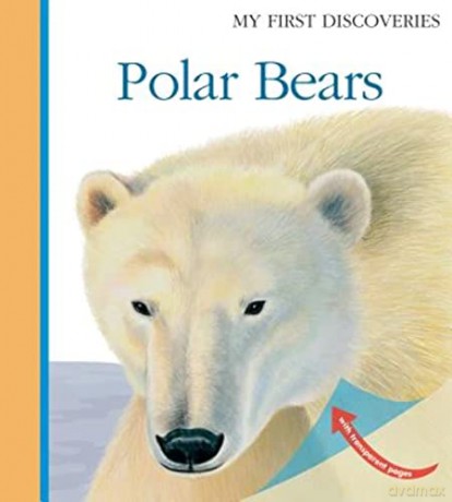 Polar Bears First Discoveries [KSIĄŻKA]