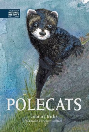 Polecats Bnhc Vol 5 - Birks [KSIĄŻKA]