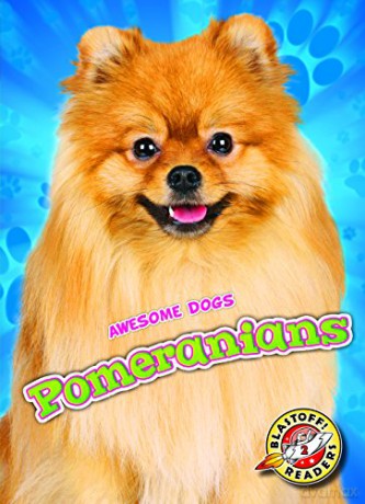 Pomeranians - Domini Brown [KSIĄŻKA]