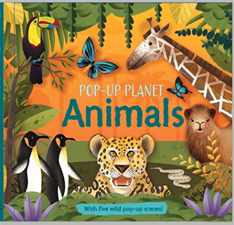 Pop Up Planet Animals - Dragan Kordic [KSIĄŻKA]