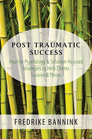 Post 8211 Traumatic Success 8211 Po [KSIĄŻKA]