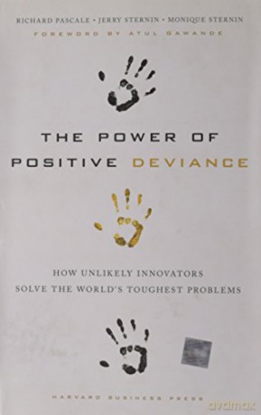 Power Of Positive Deviance - R Et Al Pascale [KSIĄŻKA]