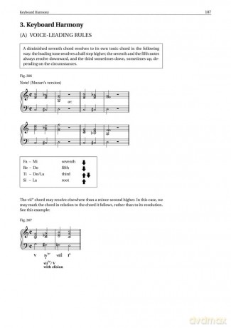 Practical Approach To Viennese Classical - Katalin Kiss [KSIĄŻKA]