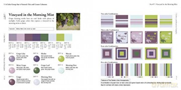 Practical Color Combinations - Naomi Kuno [KSIĄŻKA]