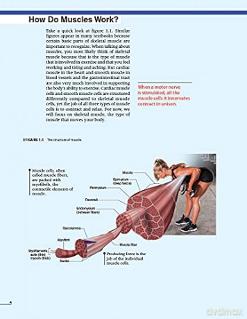 Practical Guide To Exercise Physiology - Robert Murray [KSIĄŻKA]