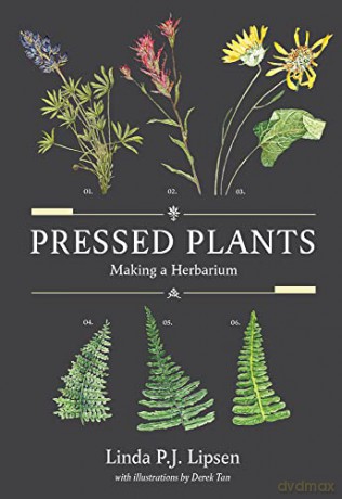 Pressed Plants - Linda P.J. Lipsen Ms [KSIĄŻKA]