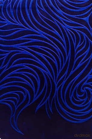 Prevail Deluxe Ed - Susie Larson [KSIĄŻKA]