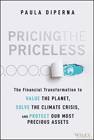 Pricing The Priceless [KSIĄŻKA]